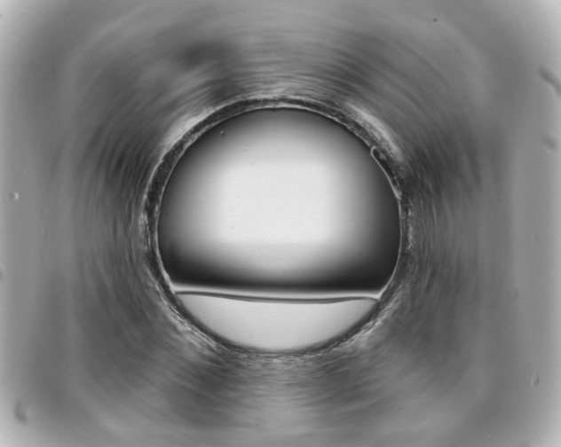 X0000094440876200711081023