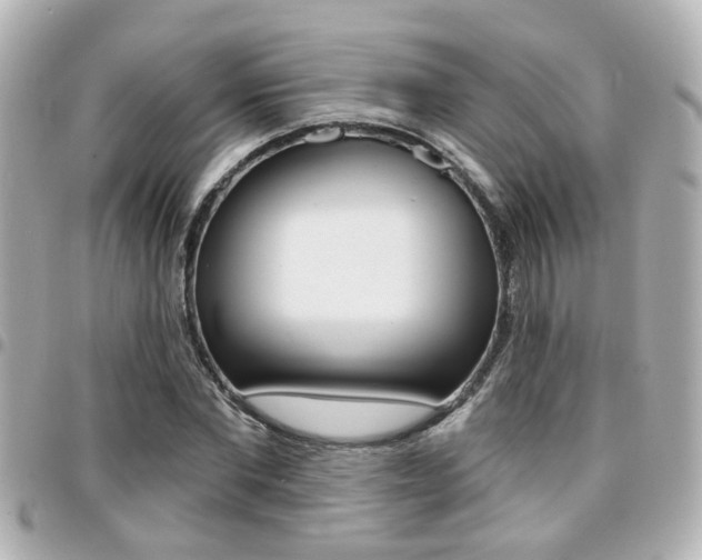 X0000094440877200711081023