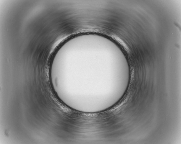 X0000094440878200711081023
