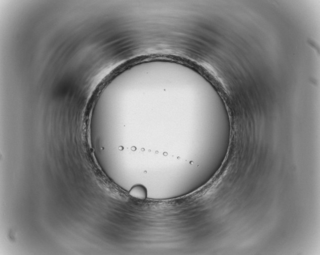X0000094440879200711081023