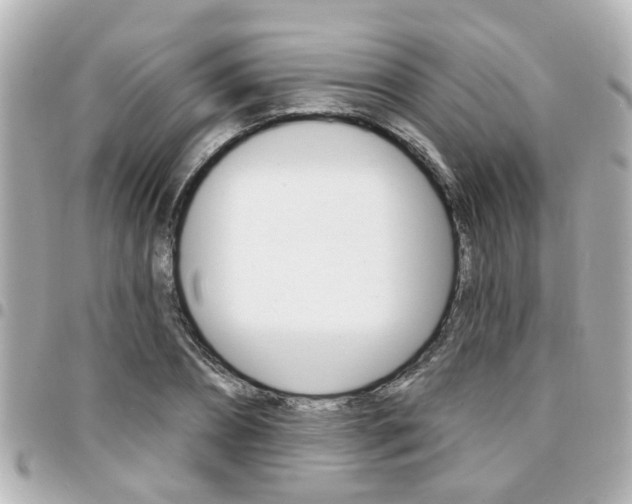 X0000094440882200711081023