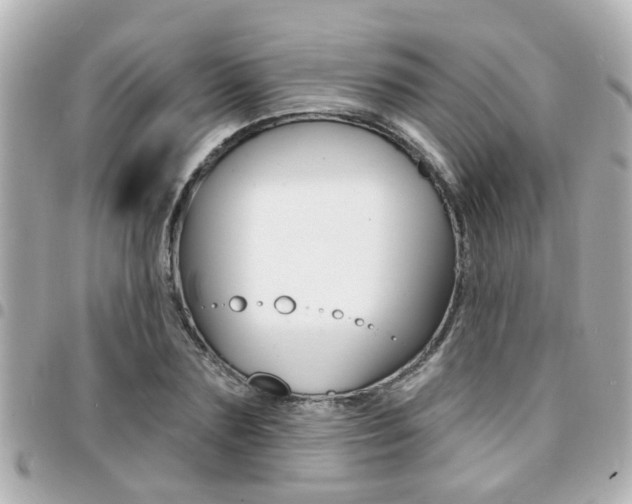 X0000094440883200711081023