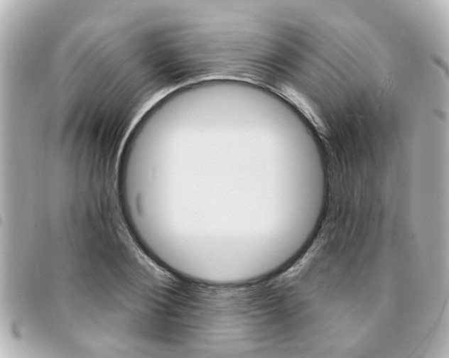 X0000094440884200711081023