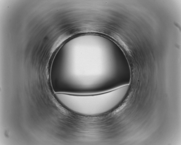 X0000094440885200711081023