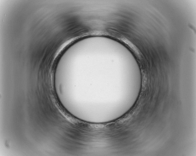 X0000094440886200711081023
