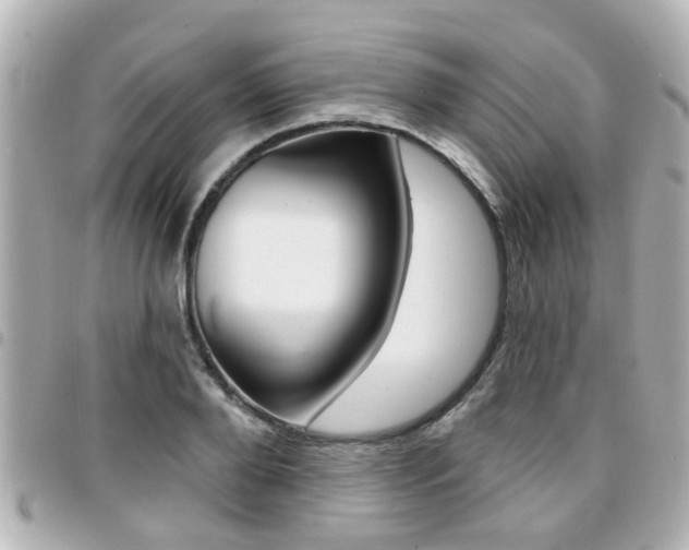 X0000094440888200711081023
