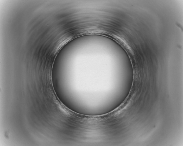 X0000094440889200711081023