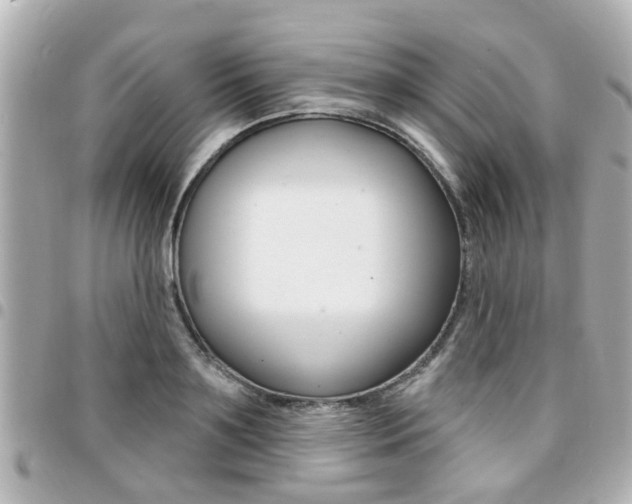 X0000094440891200711081023