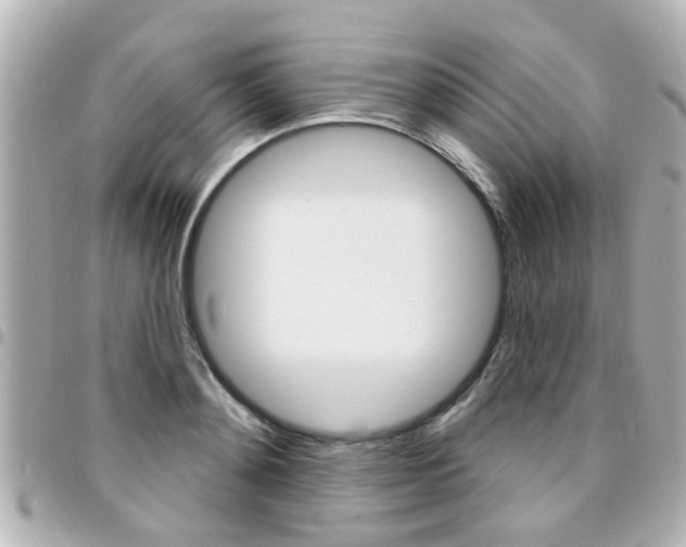 X0000094440892200711081023