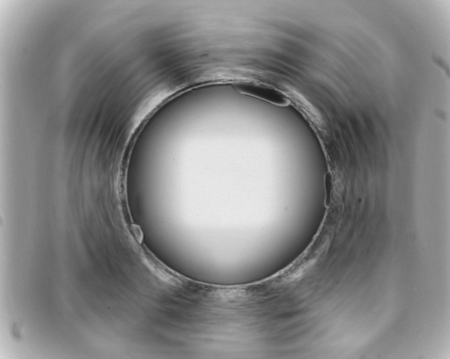 X0000094440893200711081023