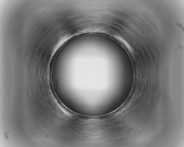 X0000094440894200711081023