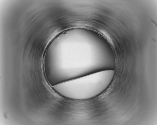 X0000094440899200711081023