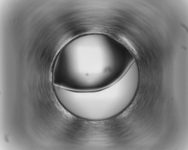 X0000094440900200711081023