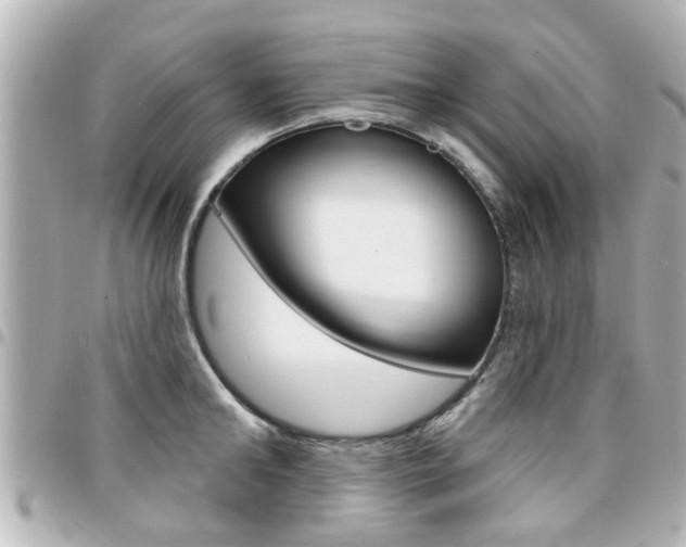 X0000094440902200711081023