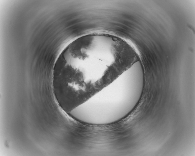 X0000094440903200711081023