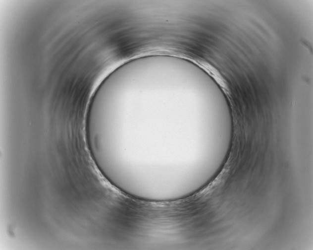 X0000094440904200711081023