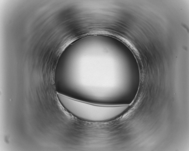X0000094440905200711081023