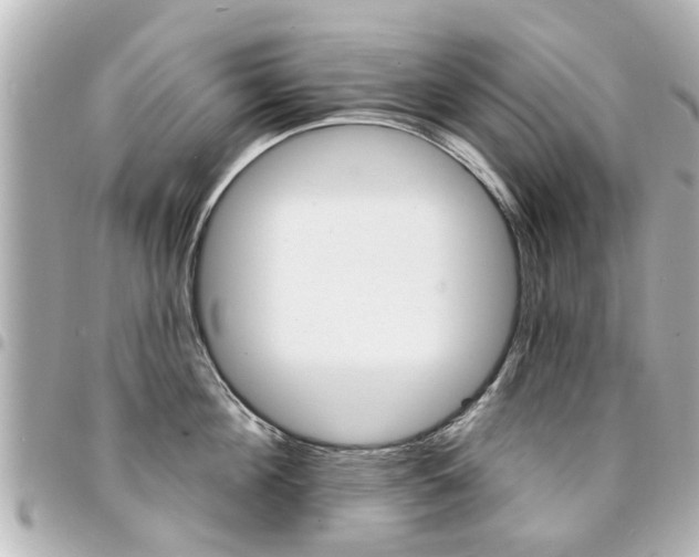 X0000094440908200711081023