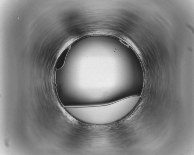 X0000094440909200711081023