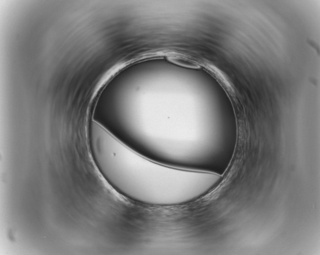 X0000094440910200711081023