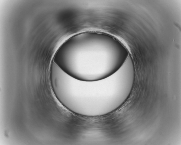 X0000094440911200711081023