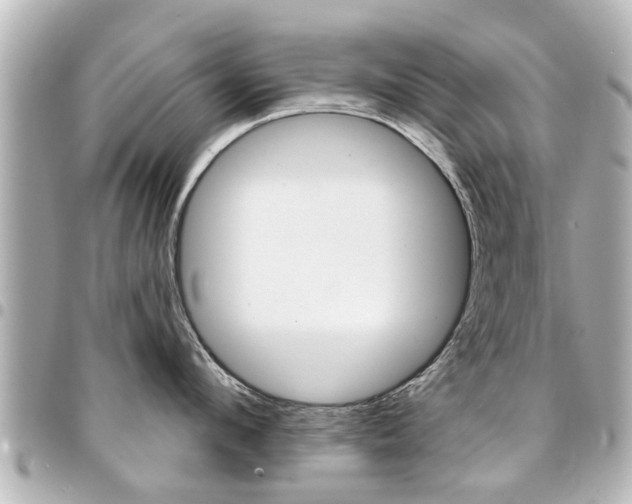 X0000094440912200711081022