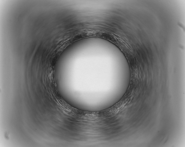 X0000094440914200711081022