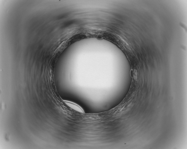 X0000094440915200711081022