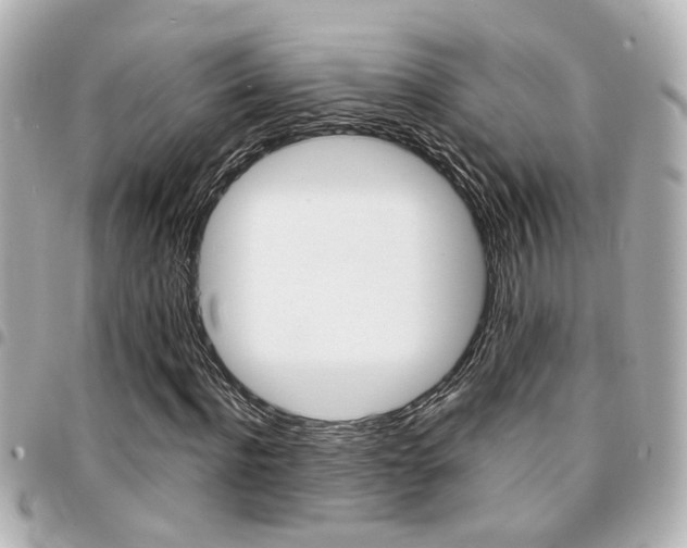 X0000094440916200711081022
