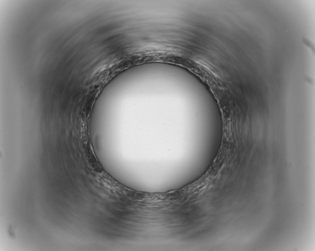 X0000094440917200711081022