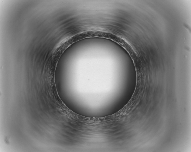 X0000094440919200711081022
