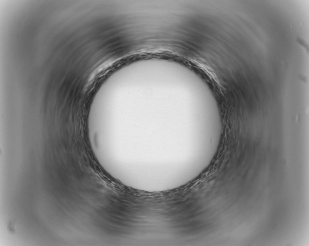 X0000094440920200711081022