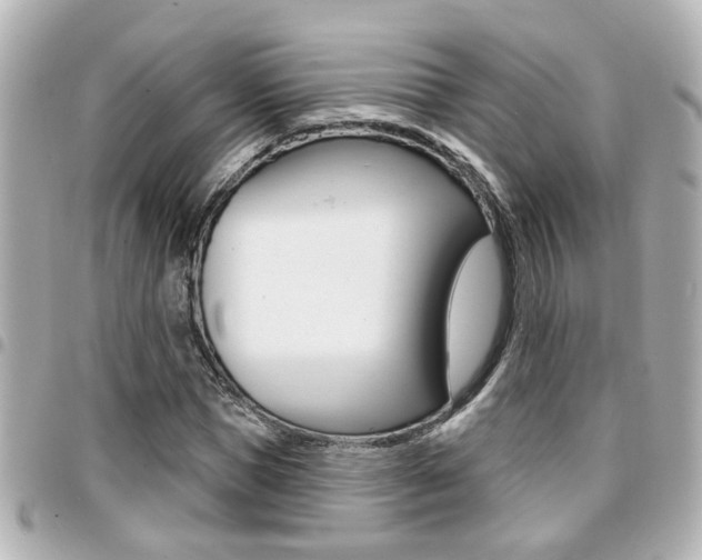 X0000094440921200711081022