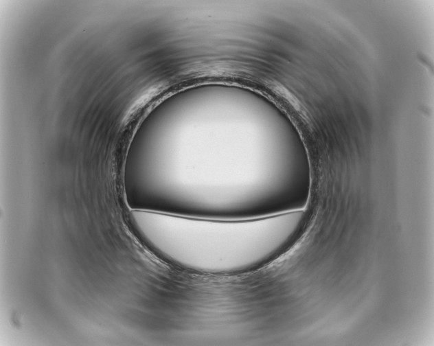 X0000094440922200711081022