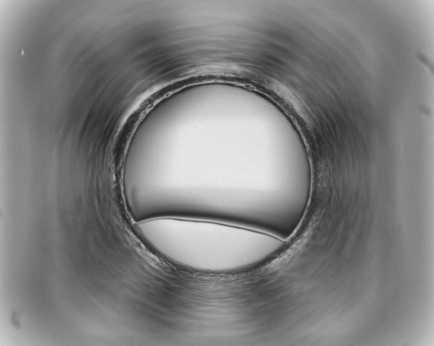 X0000094440923200711081022