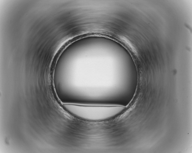 X0000094440924200711081022