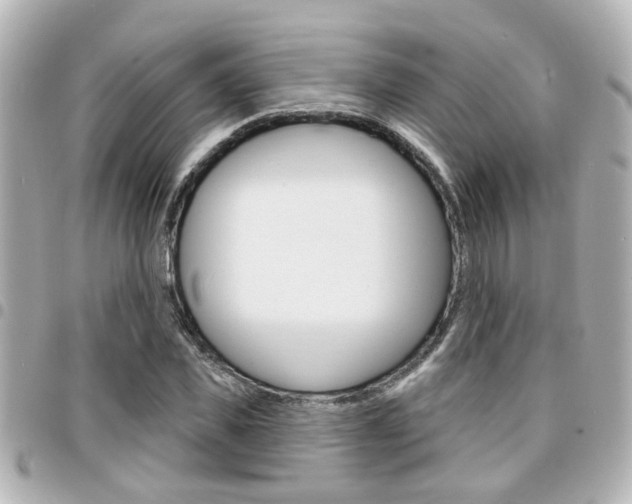 X0000094440925200711081022