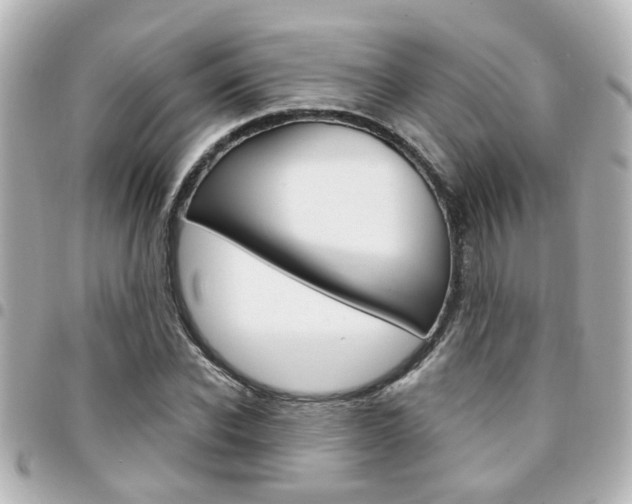 X0000094440926200711081022