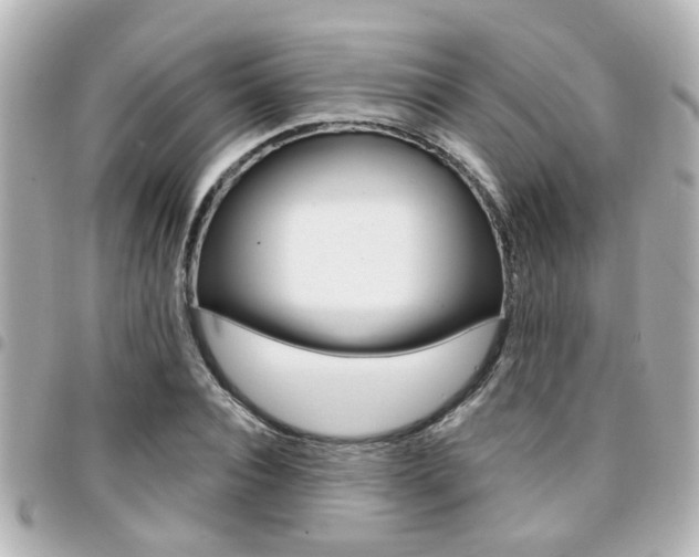 X0000094440928200711081022