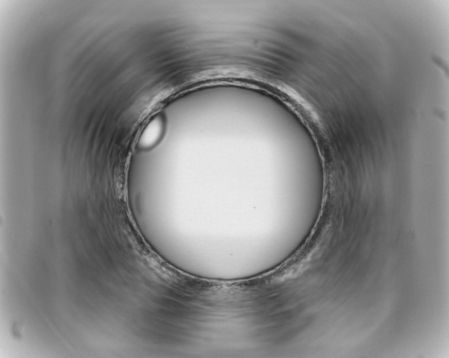 X0000094440929200711081022