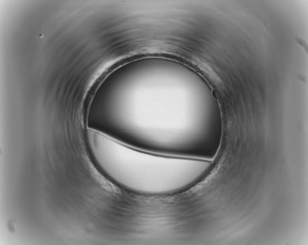 X0000094440934200711081022