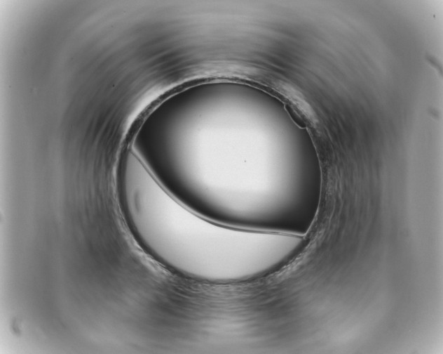X0000094440936200711081022