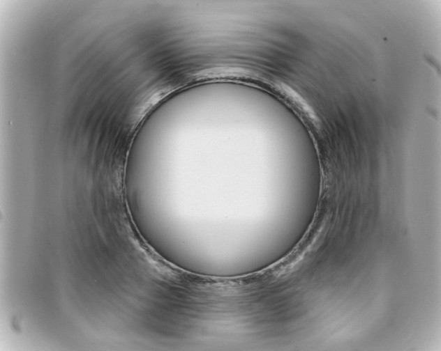 X0000094440937200711081022