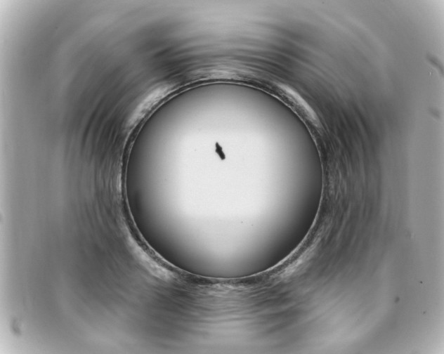 X0000094440938200711081022