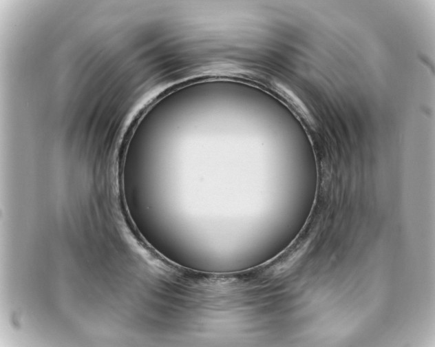 X0000094440939200711081022