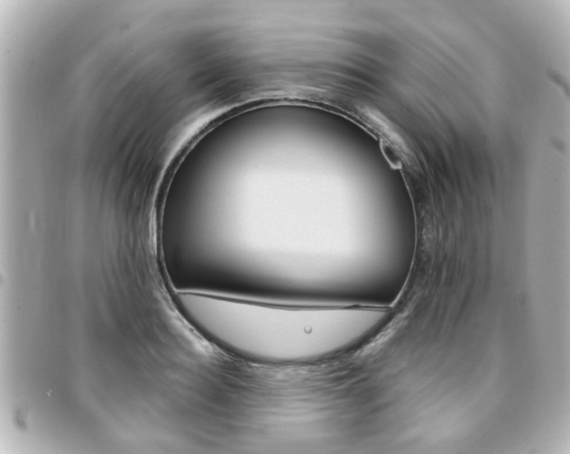 X0000094440940200711081022