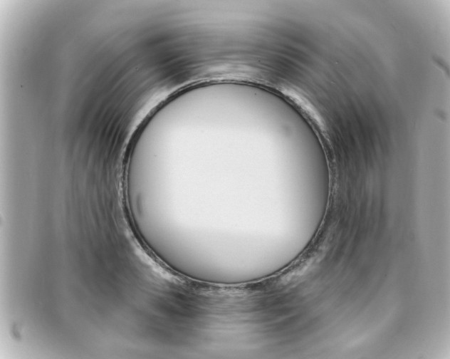 X0000094440941200711081022