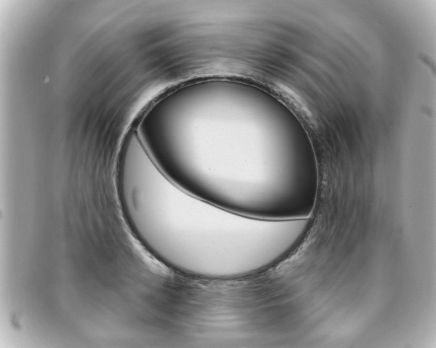 X0000094440942200711081022