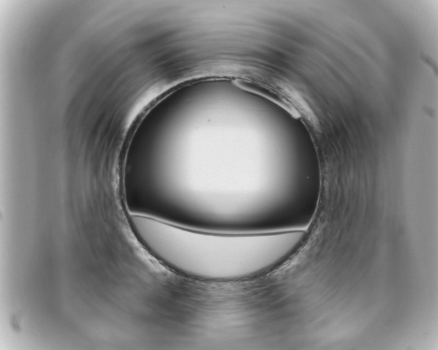 X0000094440944200711081022