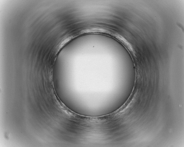 X0000094440945200711081022